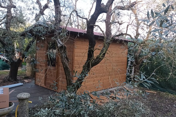 vendita casette di legno, casine per giardino piscine box rimessa attrezzi