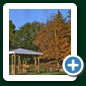 Vendita gazebo e patio in legno per arredare il giardino a Pisa Livorno Lucca ...