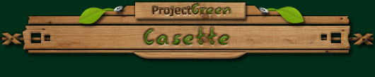 casetta in legno per giardino e piscina
